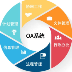 OA信息系统开发